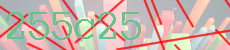 255c25